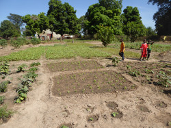 Illustration de la galerie