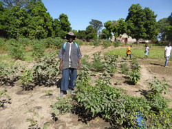 Illustration de la galerie