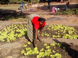 Illustration de la galerie