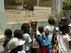 Illustration de la galerie