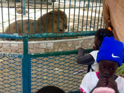 Illustration de la galerie